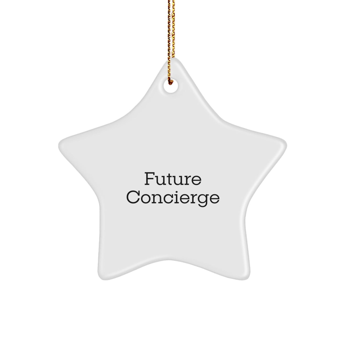 Concierge Star Ornament Funny Quote - Gifts from Men to Women, Friends, Family - Funny Concierge Star Ornament for Christmas Unique Gifts - The Buy Boom