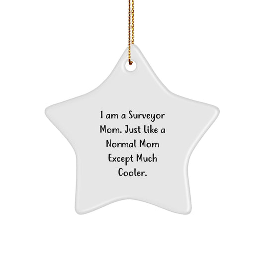 Cool Surveyor Mom Gifts from Family for Christmas Unique Star Ornaments - Funny Star Shaped White Decorations - The Buy Boom