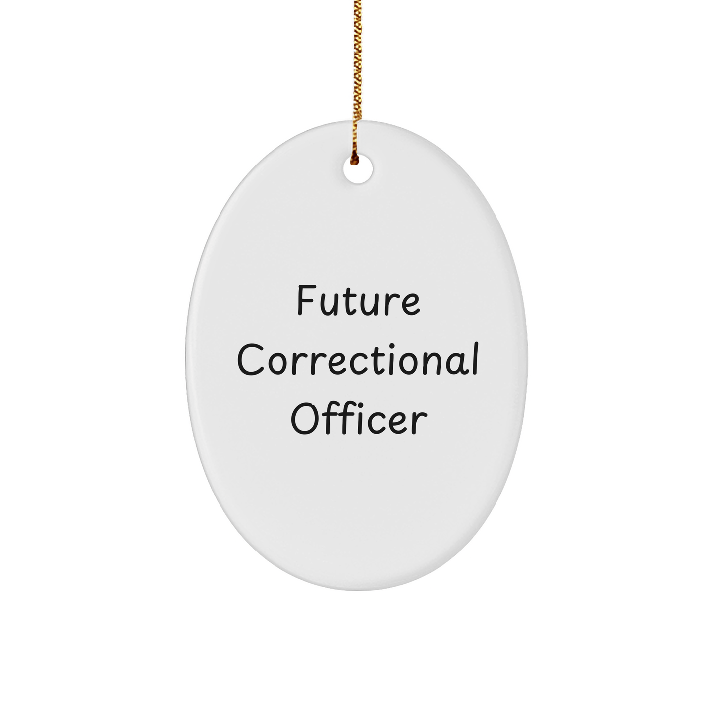 Correctional Officer Gifts from Friends - Future Correctional Officer Oval Ornament, Funny Christmas Ornament with Quote - The Buy Boom