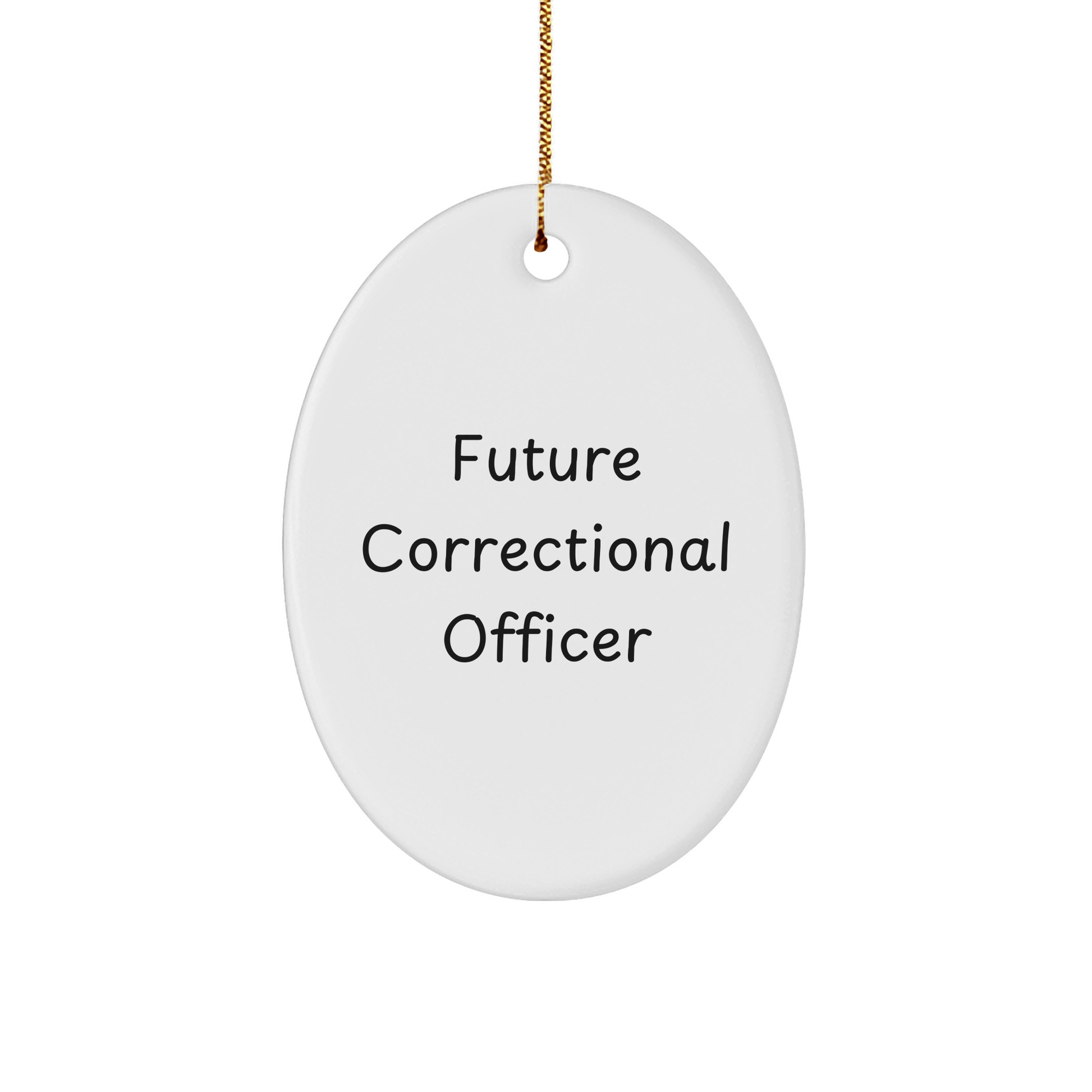 Correctional Officer Gifts from Friends - Future Correctional Officer Oval Ornament, Funny Christmas Ornament with Quote - The Buy Boom
