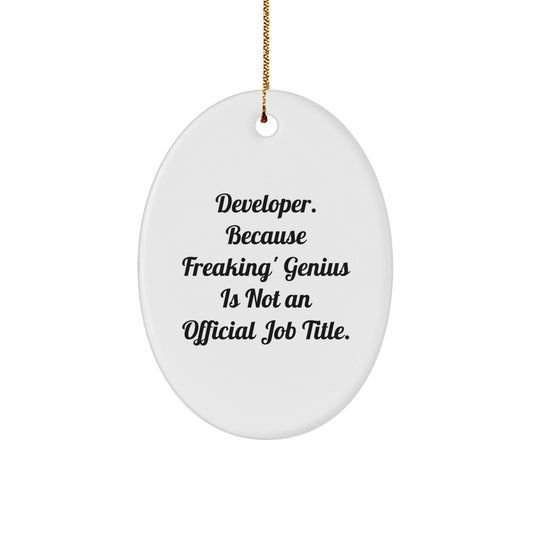 Developer Oval Ornament Gifts from Men, Women, Family, Friends, Coworkers to Developer, Men, Women, Friends, Coworkers, Christmas Unique Gifts, Funny Developer Quote, Oval Shape, White Color - The Buy Boom