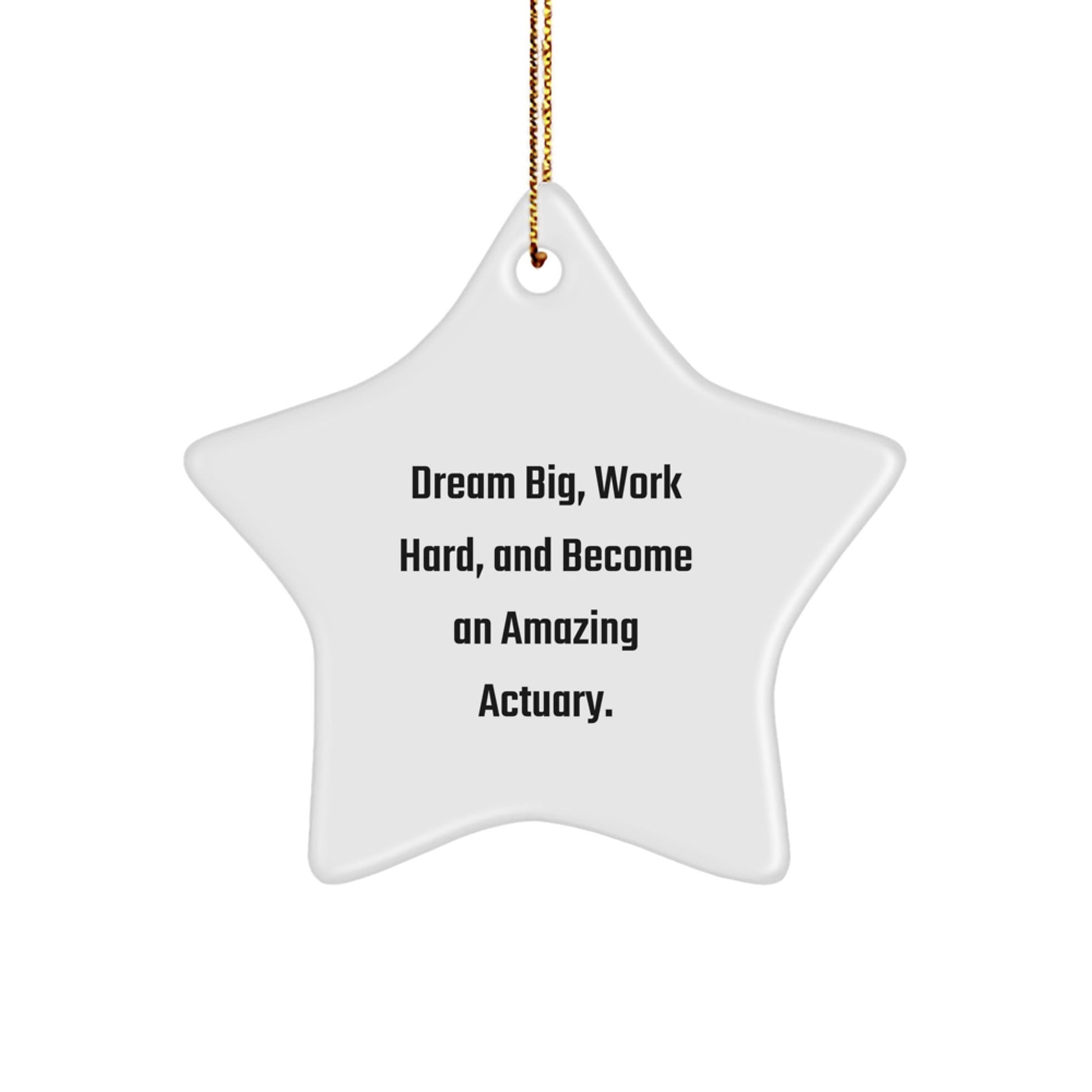 Dream Big and Shine Bright Actuary Star Ornament Gifts for Actuary Friends and Family - Funny Inspirational Quote - Christmas Unique Gifts from Friends - The Buy Boom