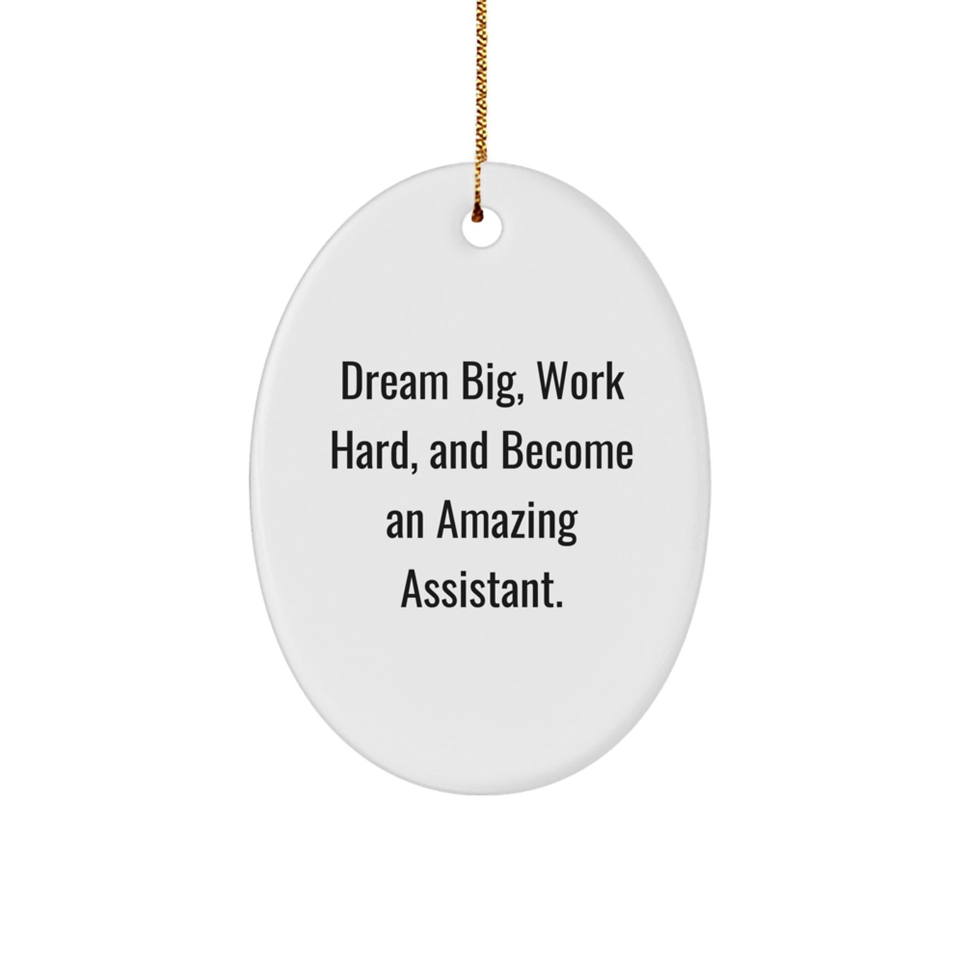 Dream Big, Work Hard, and Become an Amazing Assistant Oval Ornament Gifts from Friends for Christmas - The Buy Boom
