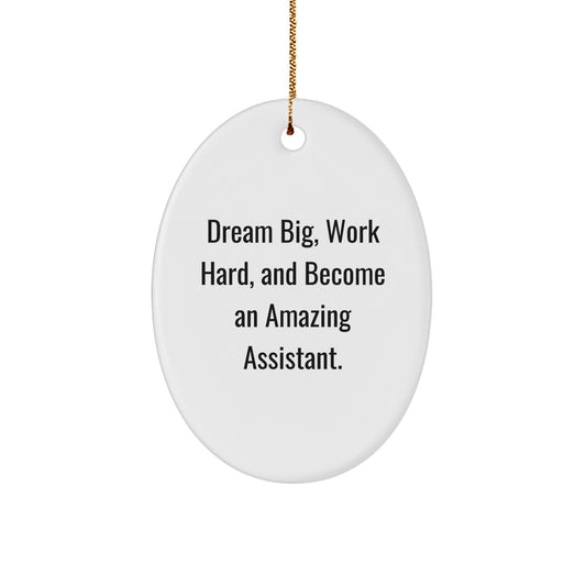 Dream Big, Work Hard, and Become an Amazing Assistant Oval Ornament Gifts from Friends for Christmas - The Buy Boom