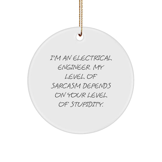 Electrical Engineer Humor Gifts from Men to Coworkers, Funny Circle Ornament for Christmas, Sarcasm Quote - The Buy Boom
