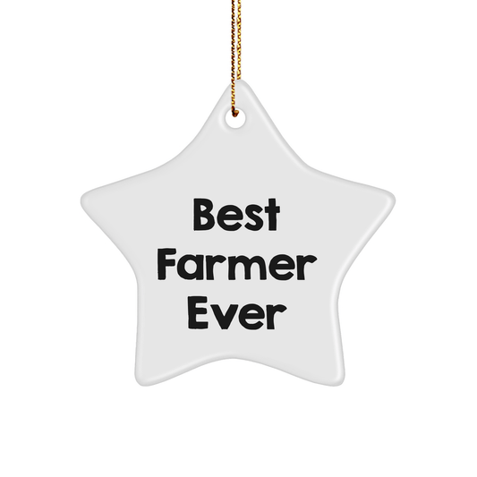 Farmer Gifts from Friends - Best Farmer Ever Star Ornament for Christmas - 'You're the Star' Quote - The Buy Boom
