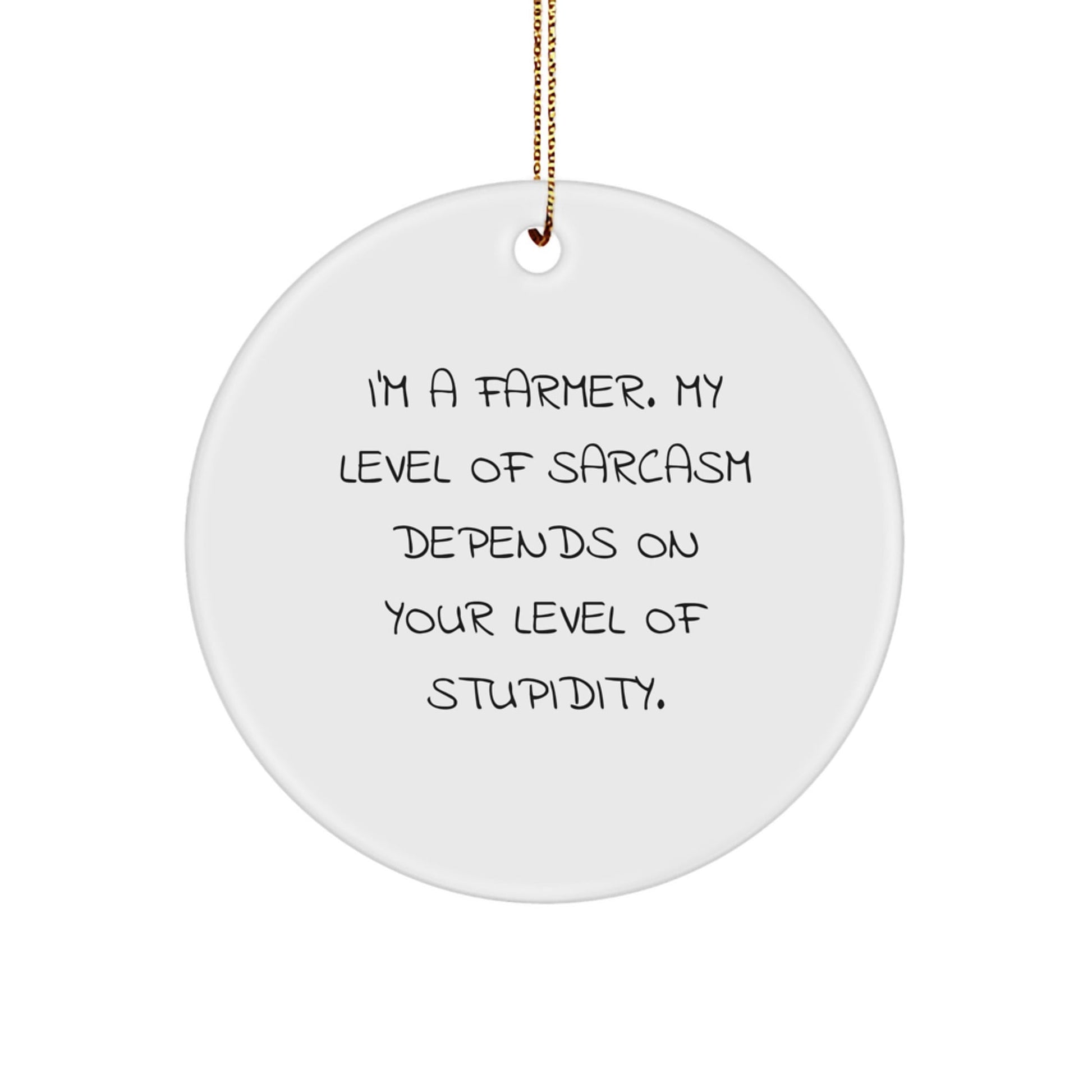 Farmer Gifts from Friends - Sassy Circle Ornament for Christmas - 'I'm A Farmer...' - Gifts for Farmers, Men, and Women - The Buy Boom