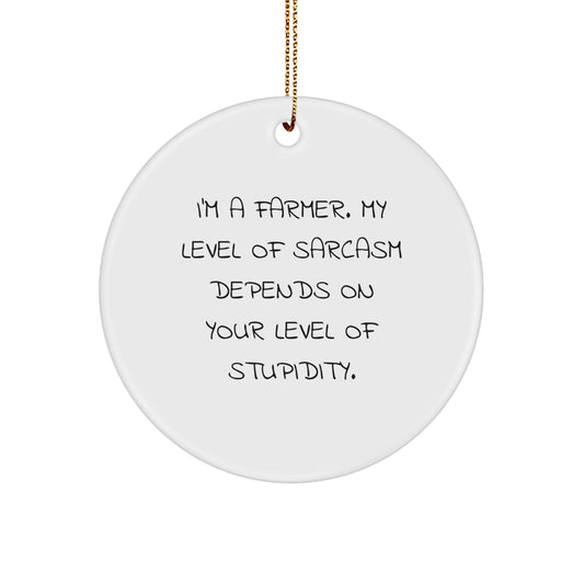 Farmer Gifts from Friends - Sassy Circle Ornament for Christmas - 'I'm A Farmer...' - Gifts for Farmers, Men, and Women - The Buy Boom