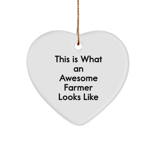Farmer Gifts from Friends - 'This Is What An Awesome Farmer Looks Like' Heart Ornament for Christmas - The Buy Boom