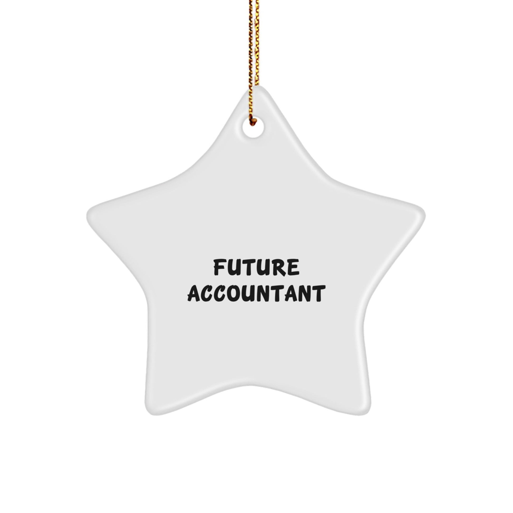 Funny Accountant Gifts for Future 'Future Accountant' - Star Ornament, Christmas Unique Gifts from Family, Friends or Coworkers - The Buy Boom