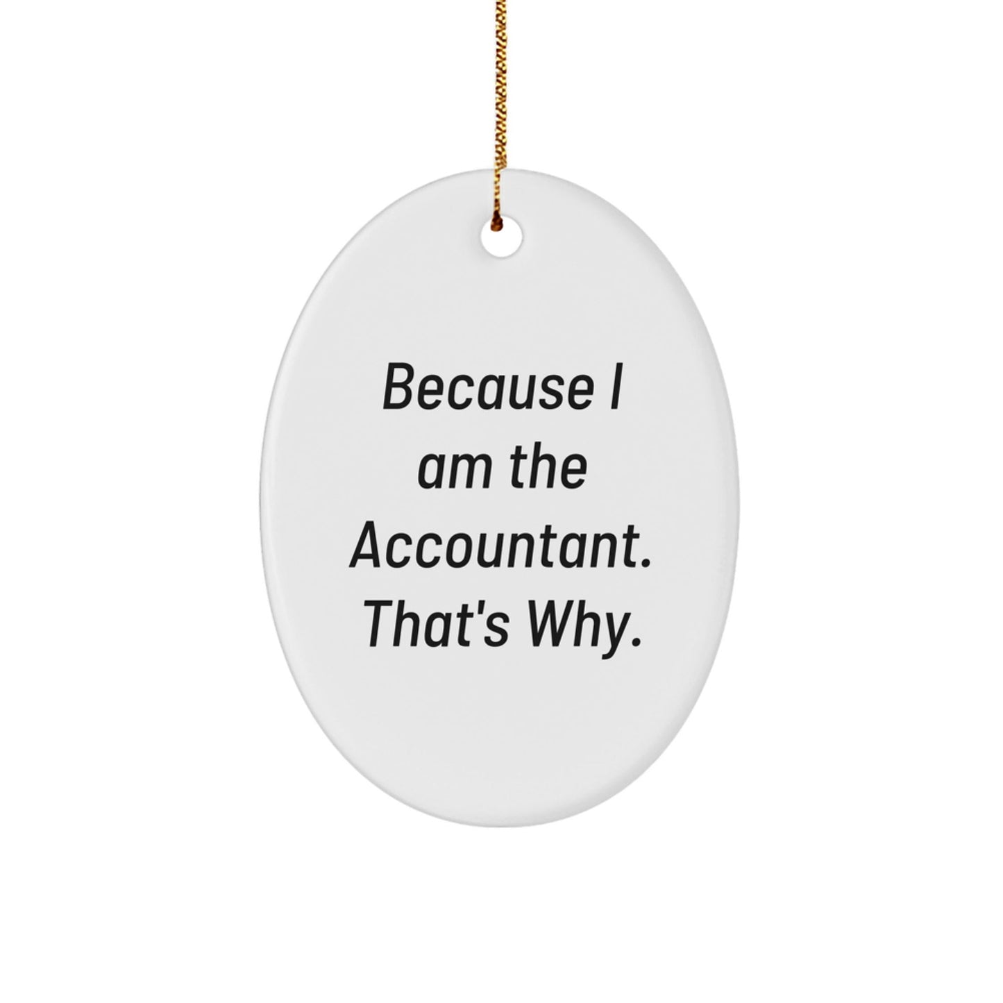 Funny Accountant Gifts for Men Unique Oval Ornaments Because I Am The Accountant That's Why Gifts from Friends Christmas Unique Gifts - The Buy Boom