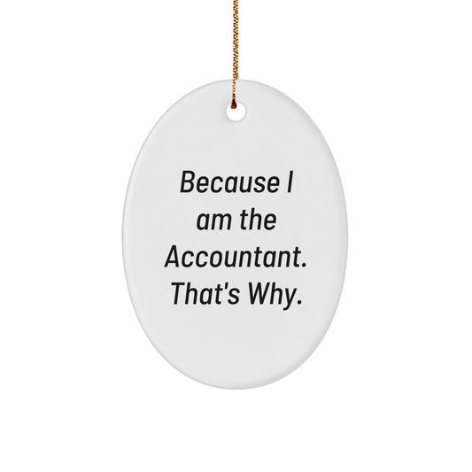 Funny Accountant Gifts for Men Unique Oval Ornaments Because I Am The Accountant That's Why Gifts from Friends Christmas Unique Gifts - The Buy Boom