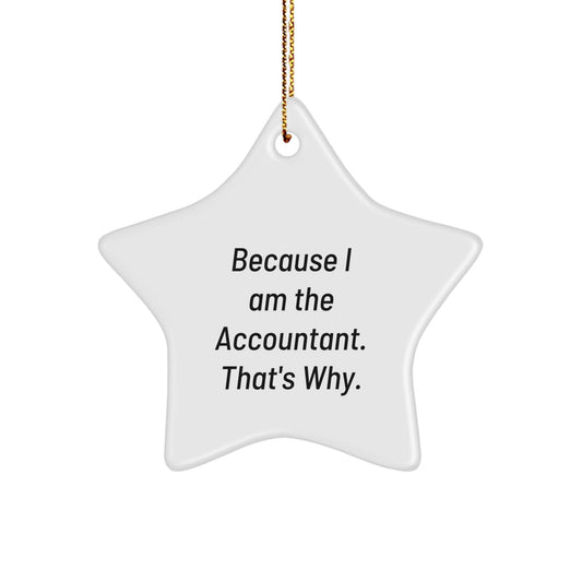 Funny Accountant Gifts from Friends and Family - Star Ornament Because I Am The Accountant That's Why Christmas Unique Gifts for Men Women Coworkers - The Buy Boom
