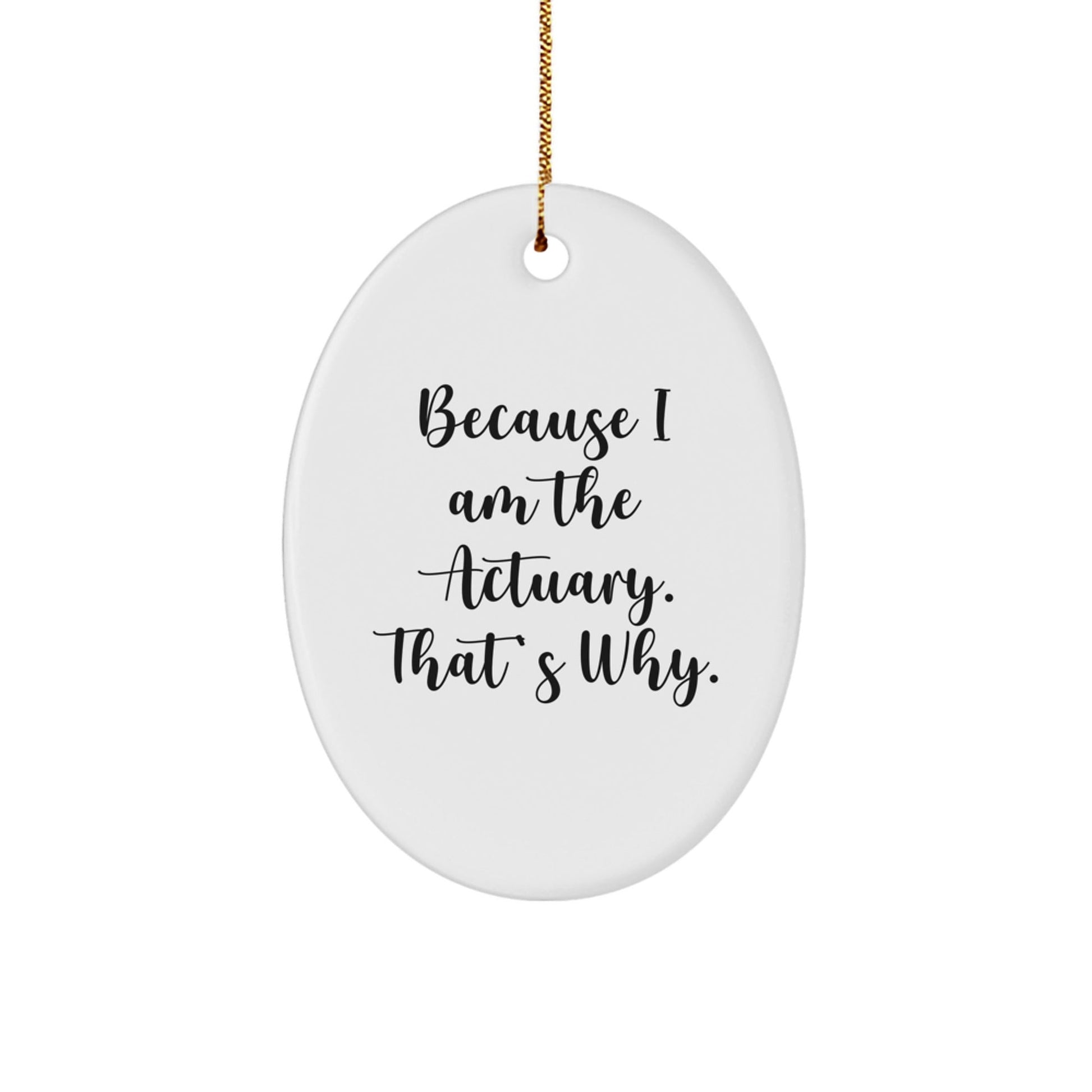 Funny Actuary Gifts, Oval Ornament Because Im The Actuary Thats Why, Gifts for Actuaries from Friends and Family - The Buy Boom