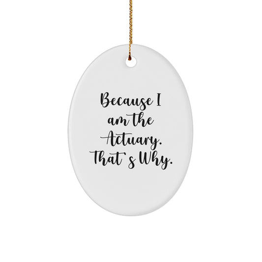 Funny Actuary Gifts, Oval Ornament Because Im The Actuary Thats Why, Gifts for Actuaries from Friends and Family - The Buy Boom