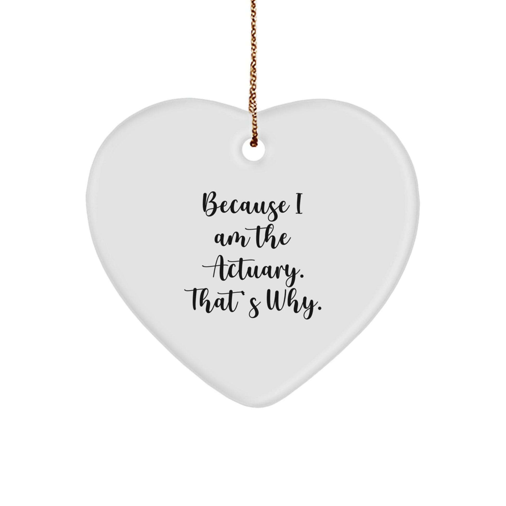 Funny Actuary Heart Ornament Gifts from Men for Christmas Unique Actuary Professional - The Buy Boom
