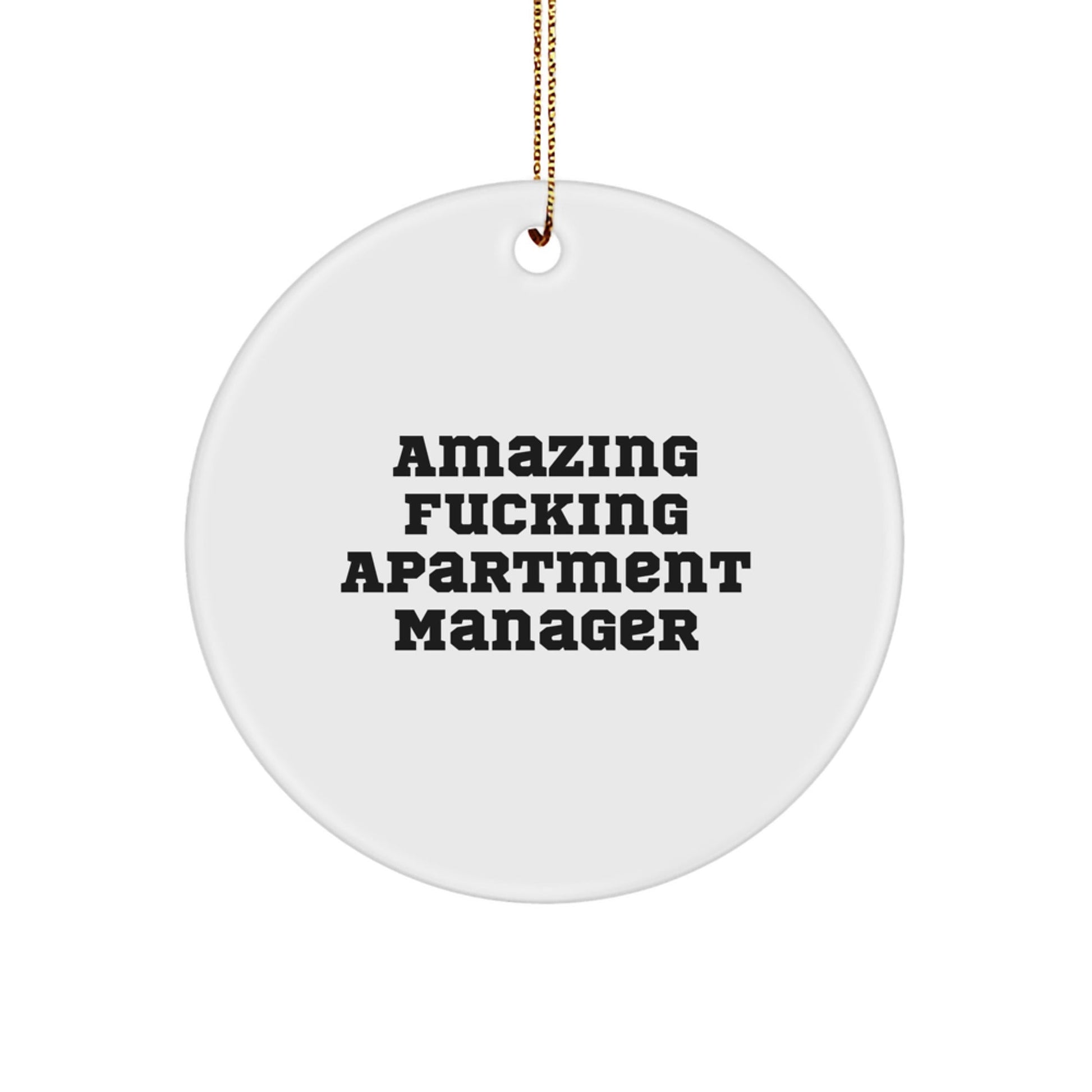 Funny Apartment Manager Gifts, 'Amazing F - king Apartment Manager' Quote, Circle Ornament for Men, Women, Friends, or Family, Christmas Unique Gifts from Friends, Coworkers, or Family - The Buy Boom
