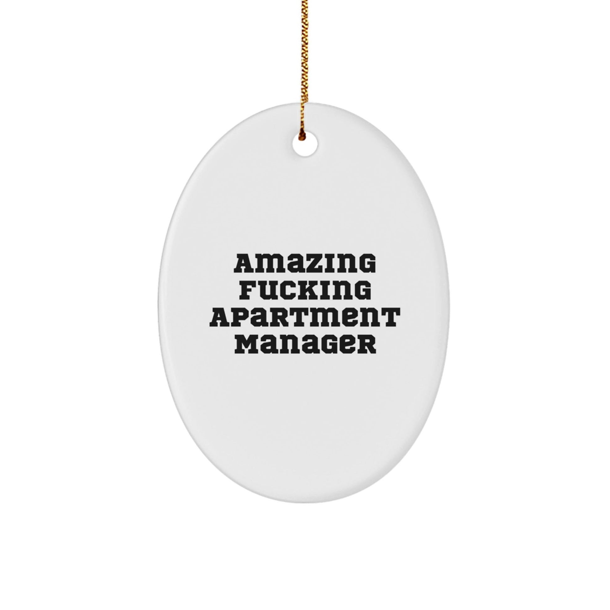 Funny Apartment Manager Gifts from Friends - Amazing Oval Ornament for Christmas - White Oval Shaped, Durable MDF with High - Gloss Finish, Vibrantly Printed Quote - Gifts for Apartment Managers - The Buy Boom