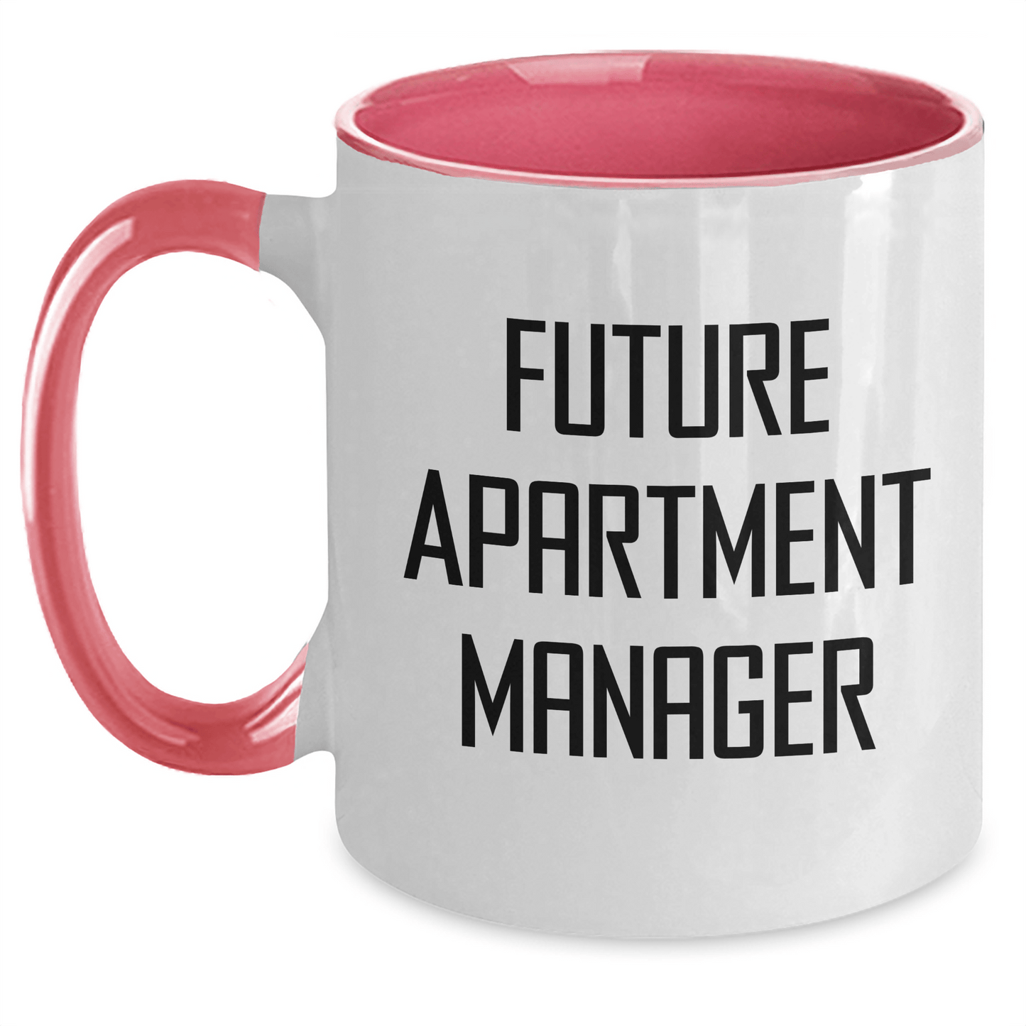Funny Apartment Manager Gifts from Friends to Future Leaders Graduation Unique Mugs - The Buy Boom
