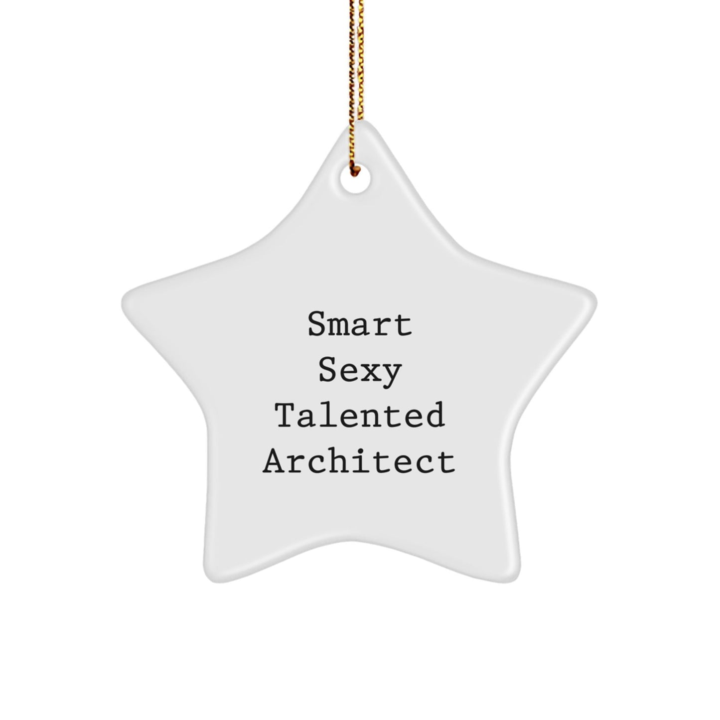 Funny Architect Christmas Star Ornament Gifts from Men to Women Friends Family for Office Decorations - The Buy Boom
