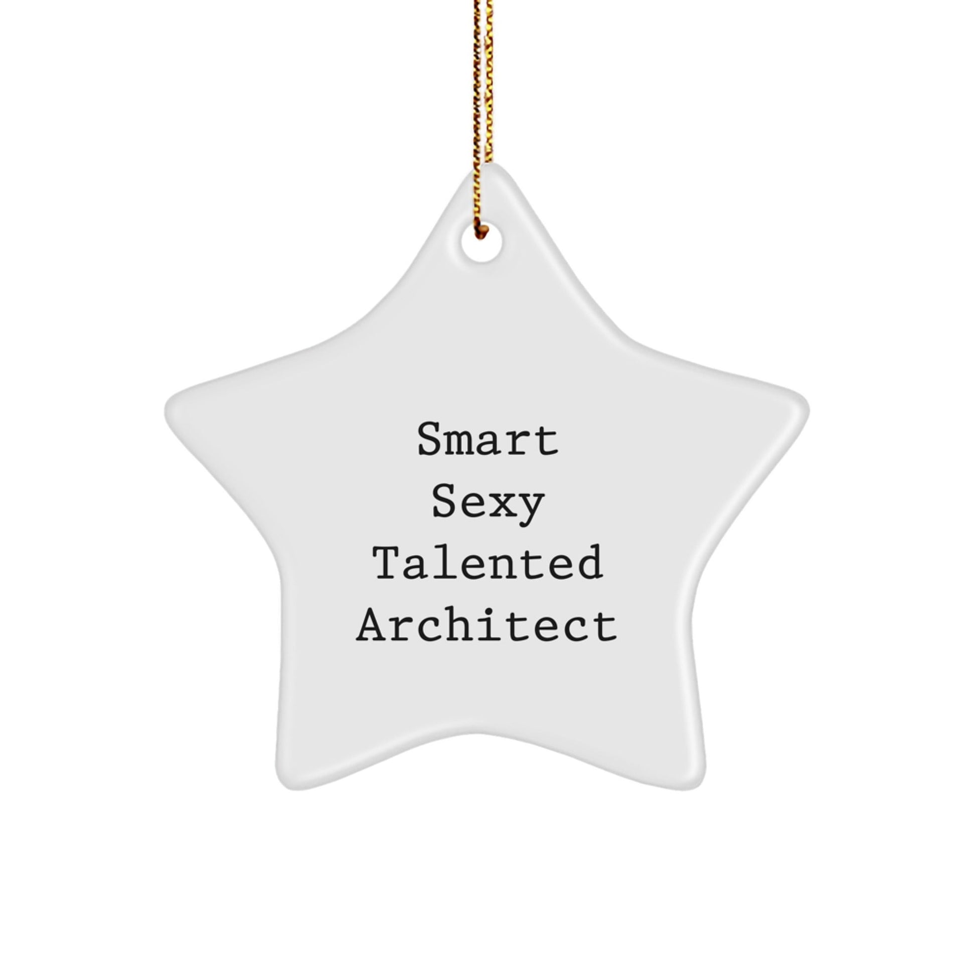 Funny Architect Christmas Star Ornament Gifts from Men to Women Friends Family for Office Decorations - The Buy Boom
