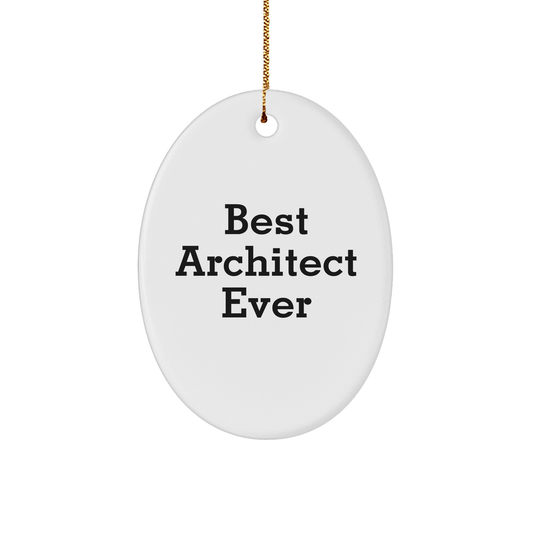 Funny Architect Gifts from Best, Oval Ornament for Men or Women, 'Best Architect Ever' Quote, Christmas Unique Presents - The Buy Boom
