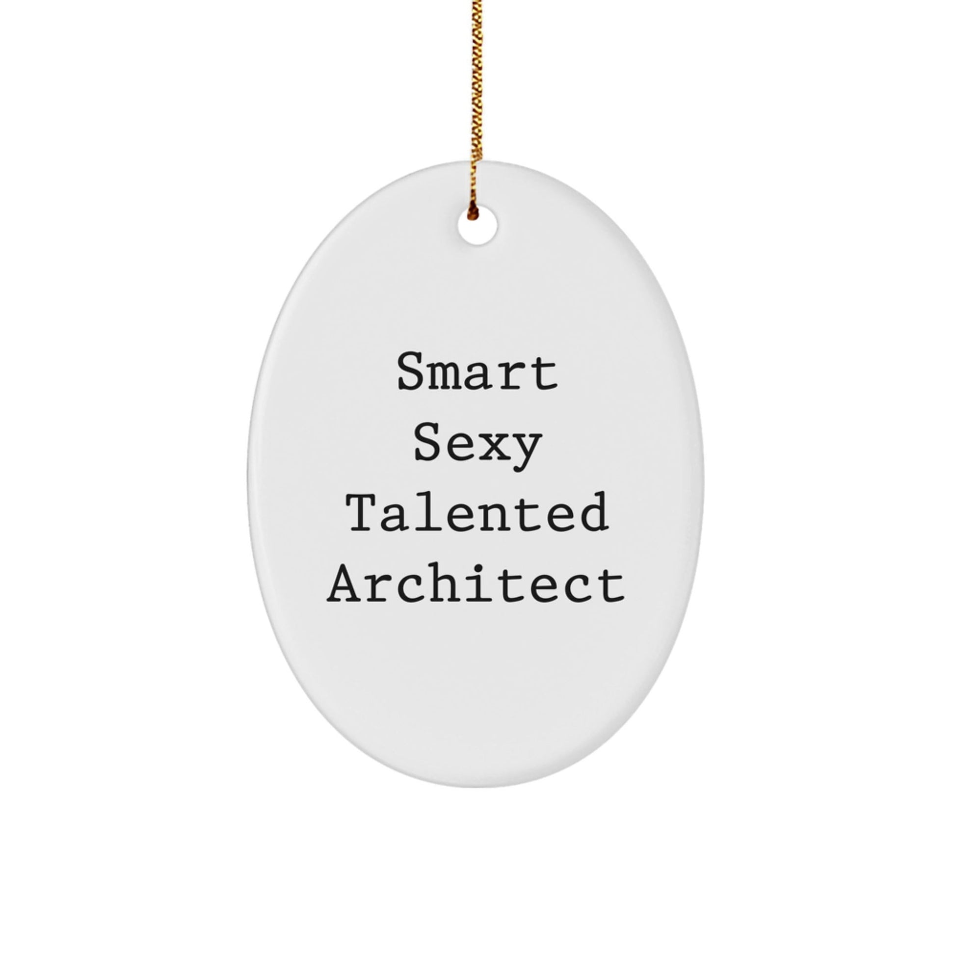 Funny Architect Oval Ornament Gifts from Friends for Smart Sexy Talented Architect Christmas Unique Ornament - The Buy Boom