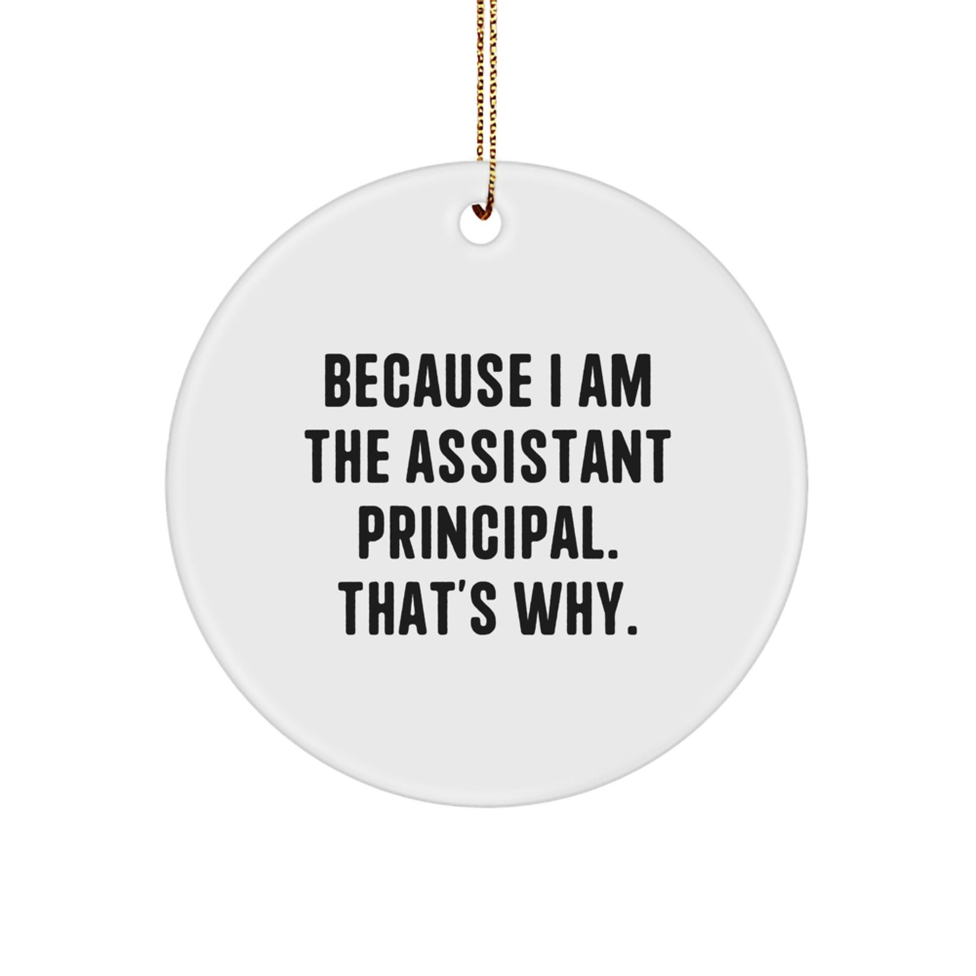 Funny Assistant Principal Christmas Circle Ornament Gifts from Friends and Family for Assistant Principal - The Buy Boom
