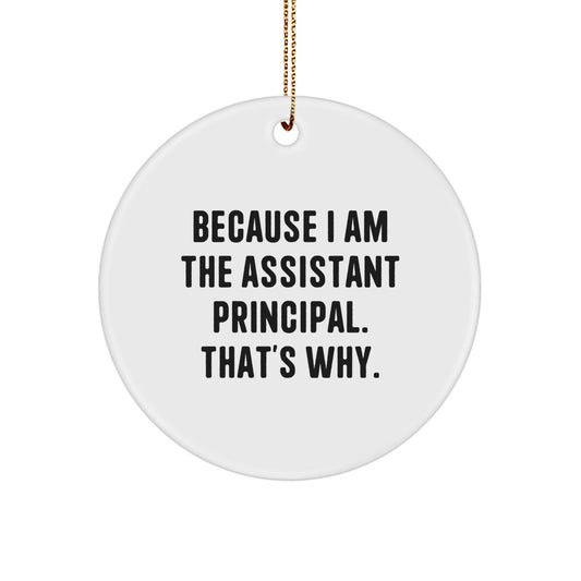 Funny Assistant Principal Christmas Circle Ornament Gifts from Friends and Family for Assistant Principal - The Buy Boom