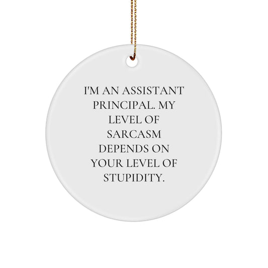 Funny Assistant Principal Gifts from Friends - Christmas Unique Circle Ornament, Gifts for Assistant Principal, Sarcastic Quote - The Buy Boom