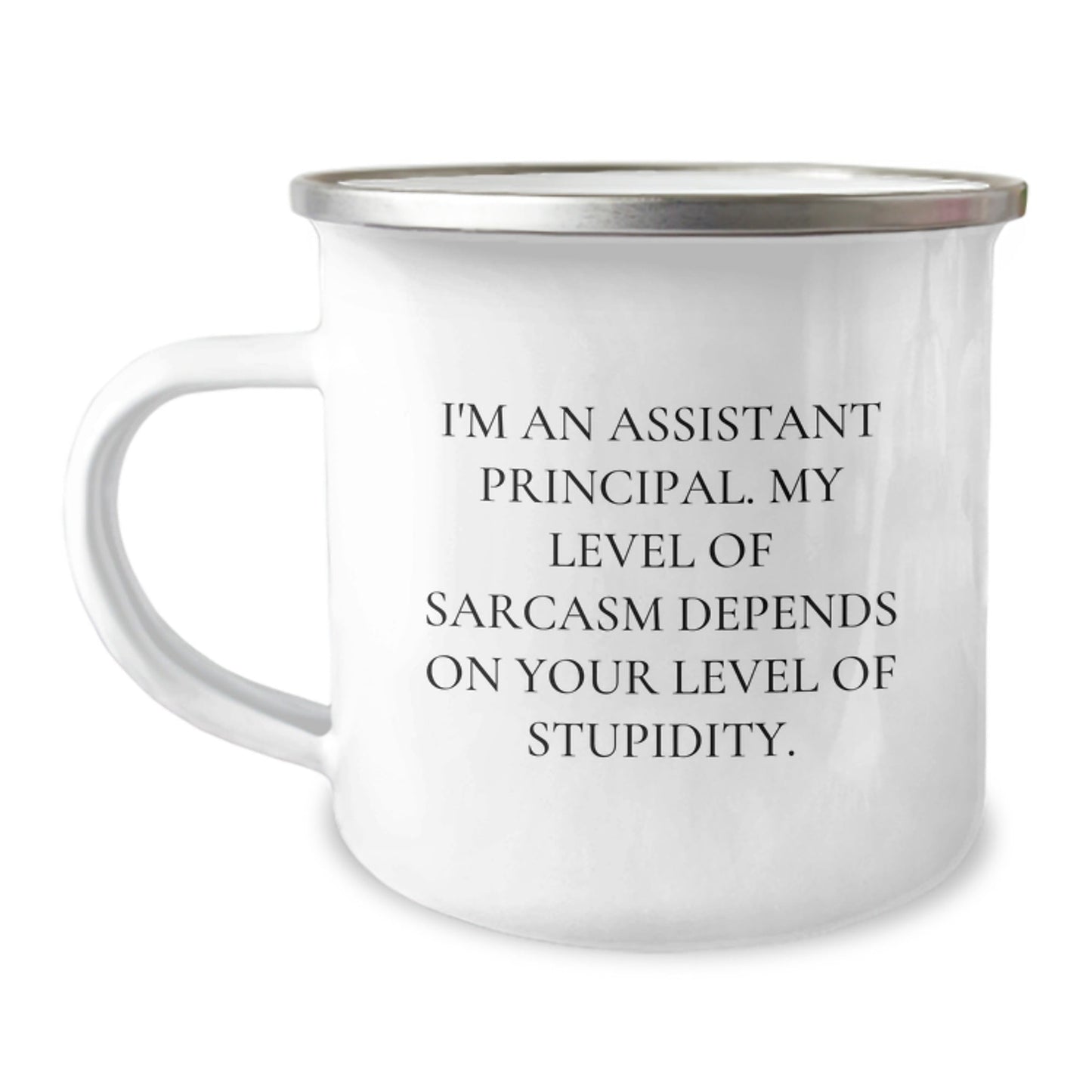 Funny Assistant Principal Gifts from Friends for Christmas - Camping Mug with Sarcastic Humor 'I'm An Assistant Principal. My Level Of Sarcasm Depends On Your Level Of Stupidity.' - The Buy Boom