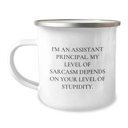 Funny Assistant Principal Gifts from Friends for Christmas - Camping Mug with Sarcastic Humor 'I'm An Assistant Principal. My Level Of Sarcasm Depends On Your Level Of Stupidity.' - The Buy Boom