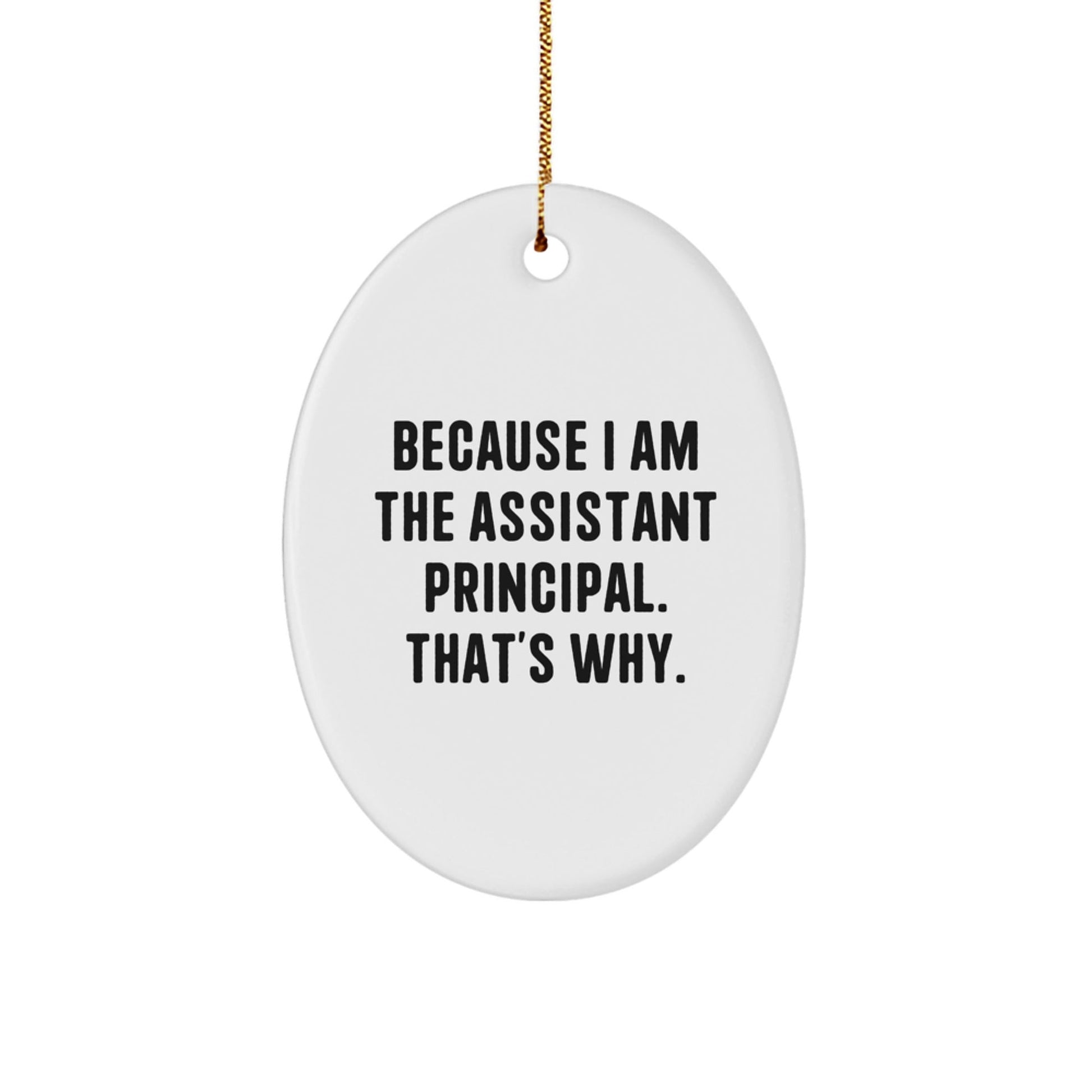 Funny Assistant Principal Oval Ornament Gifts from Family for Men at Christmas, Gifts for Assistant Principal, Oval Ornament Quote Gifts for Christmas Unique Presents - The Buy Boom