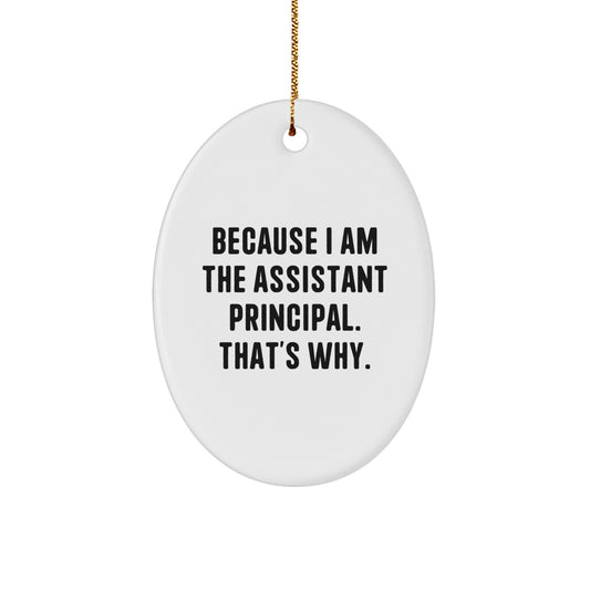 Funny Assistant Principal Oval Ornament Gifts from Family for Men at Christmas, Gifts for Assistant Principal, Oval Ornament Quote Gifts for Christmas Unique Presents - The Buy Boom
