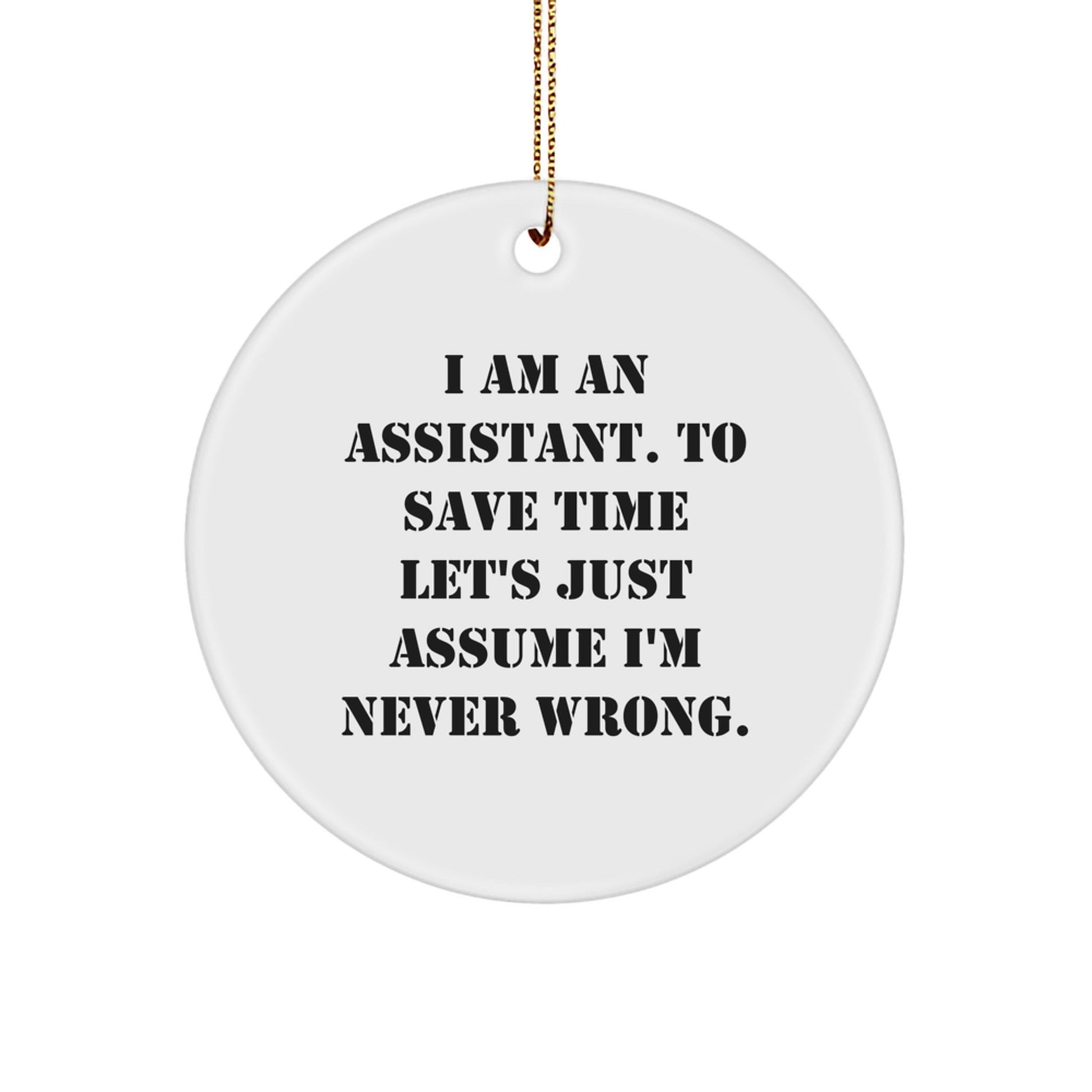 Funny Assistant Quotes Circle Ornament Gifts from Friends for Assistant - The Buy Boom