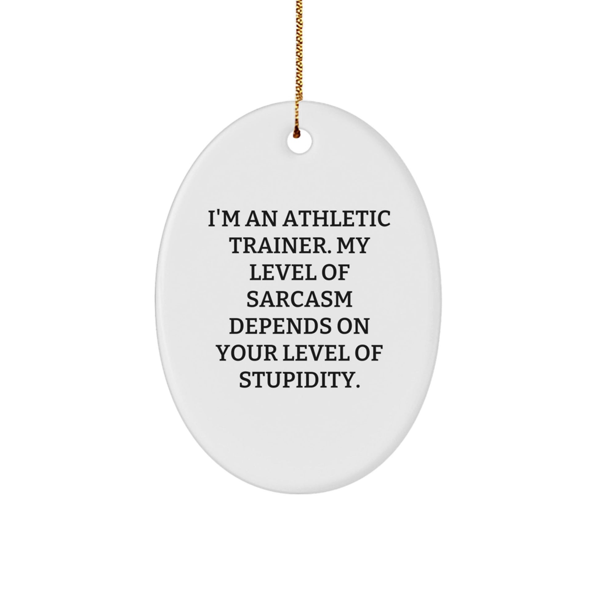 Funny Athletic Trainer Gifts from Friends for Christmas - 'I'm An Athletic Trainer. My Level Of Sarcasm Depends On Your Level Of Stupidity.' Oval Ornament - The Buy Boom
