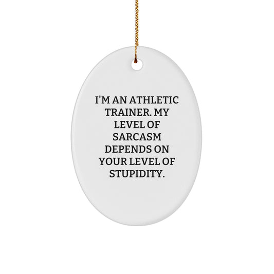 Funny Athletic Trainer Gifts from Friends for Christmas - 'I'm An Athletic Trainer. My Level Of Sarcasm Depends On Your Level Of Stupidity.' Oval Ornament - The Buy Boom