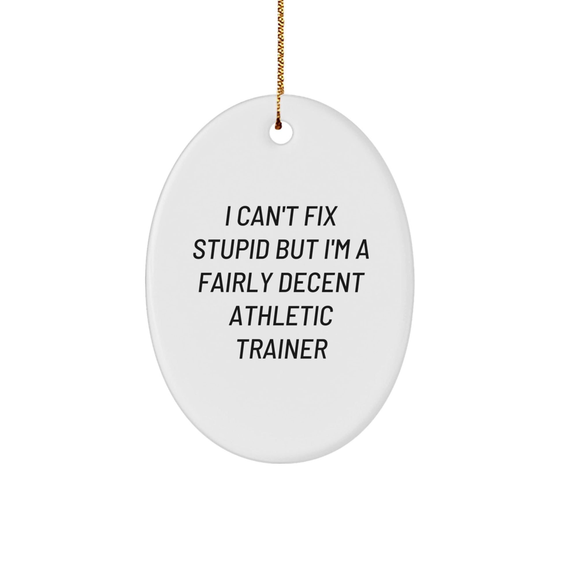 Funny Athletic Trainer Gifts from Men - I Can't Fix Stupid But I'm A Fairly Decent Athletic Trainer Oval Ornament for Friends, Coworkers, or Family Members - The Buy Boom