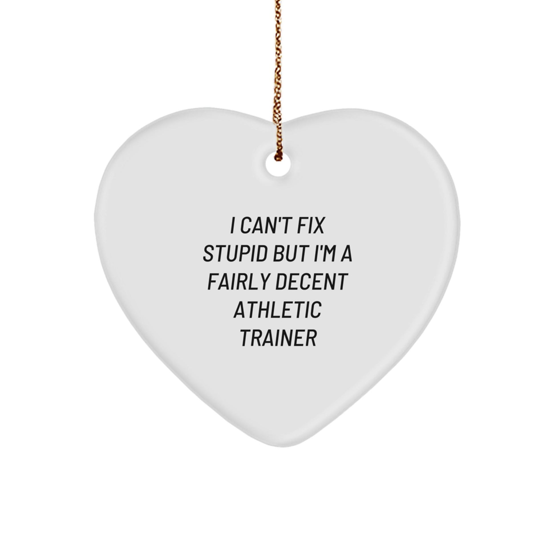 Funny Athletic Trainer Gifts, Heart Ornament for Christmas Unique Gifts from Friends, Coworkers, or Family Members to Athletic Trainers, Inspirational I Can't Fix Stupid Athletic Trainer Quote - The Buy Boom