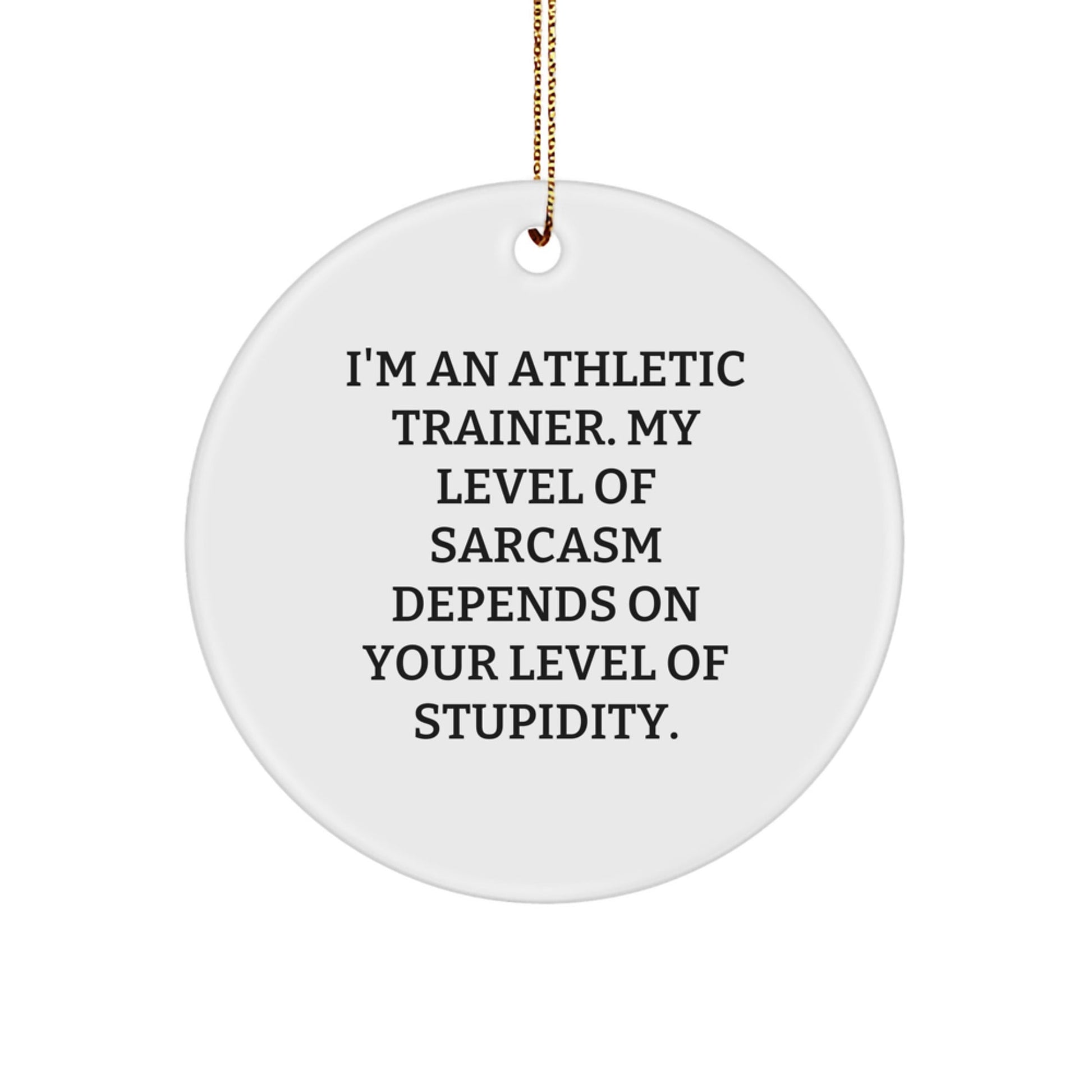 Funny Athletic Trainer Gifts, 'I'm An Athletic Trainer. My Level Of Sarcasm Depends On Your Level Of Stupidity.' Circle Ornament, Christmas Unique Gifts from Friends to Coworkers - The Buy Boom