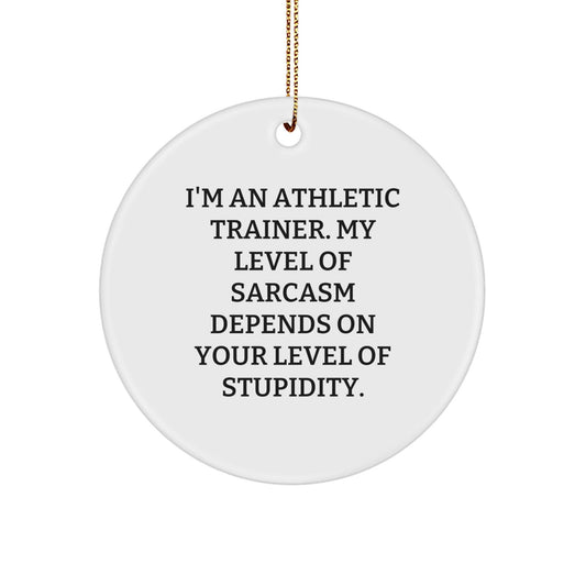 Funny Athletic Trainer Gifts, 'I'm An Athletic Trainer. My Level Of Sarcasm Depends On Your Level Of Stupidity.' Circle Ornament, Christmas Unique Gifts from Friends to Coworkers - The Buy Boom