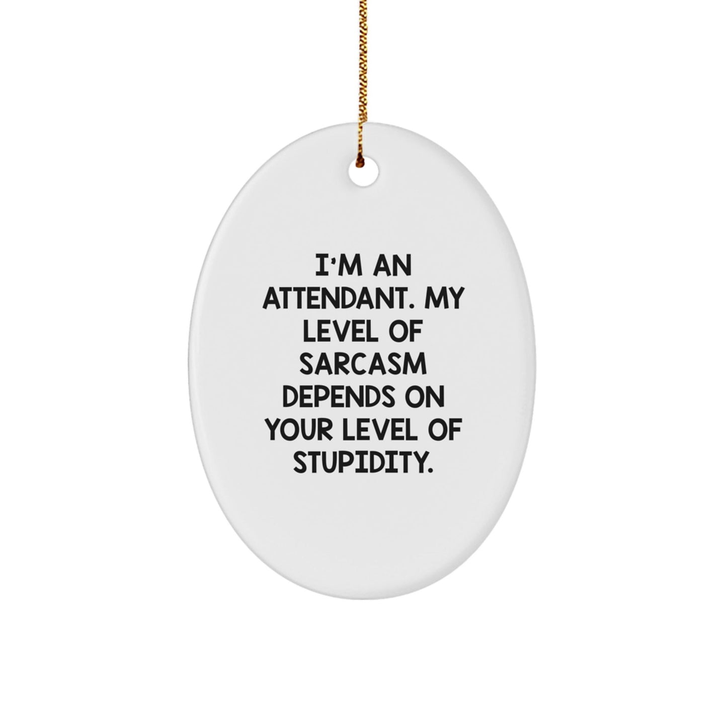 Funny Attendant Gifts from Men, Oval Ornament with Sarcastic Quote, Perfect Christmas Unique Gifts for Attendant Friends and Family - The Buy Boom
