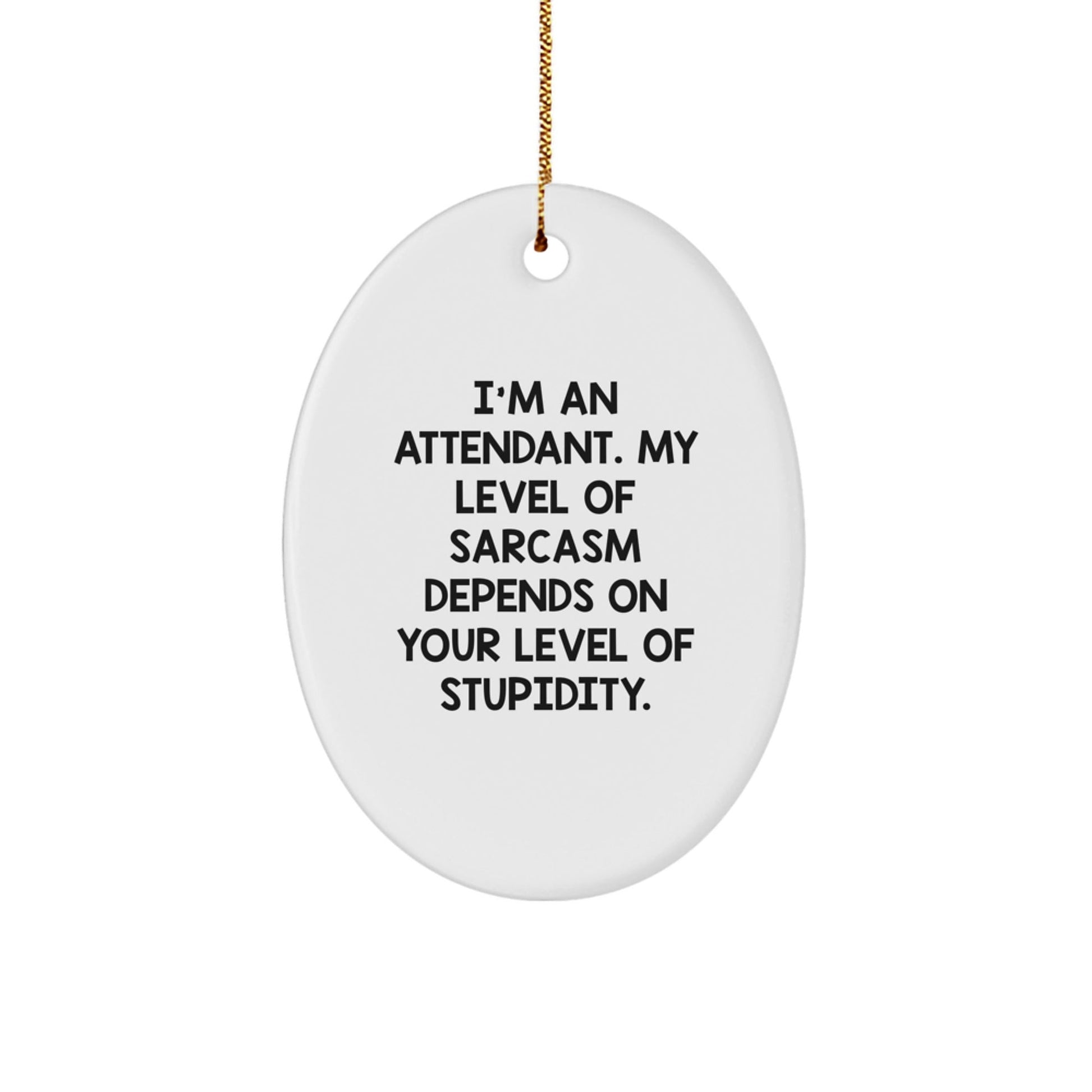 Funny Attendant Gifts from Men, Oval Ornament with Sarcastic Quote, Perfect Christmas Unique Gifts for Attendant Friends and Family - The Buy Boom