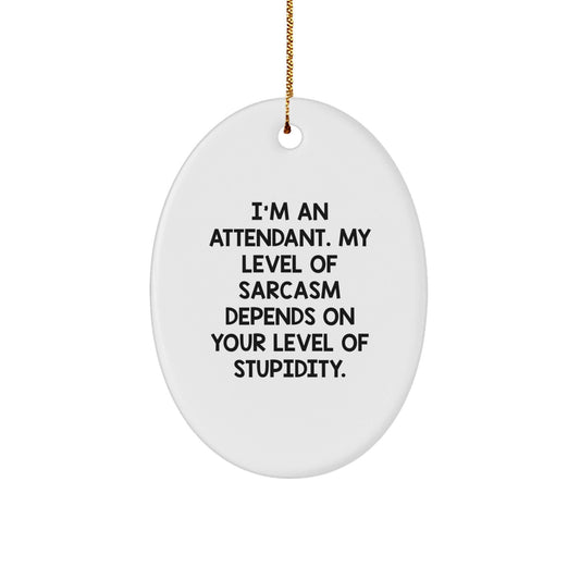Funny Attendant Gifts from Men, Oval Ornament with Sarcastic Quote, Perfect Christmas Unique Gifts for Attendant Friends and Family - The Buy Boom