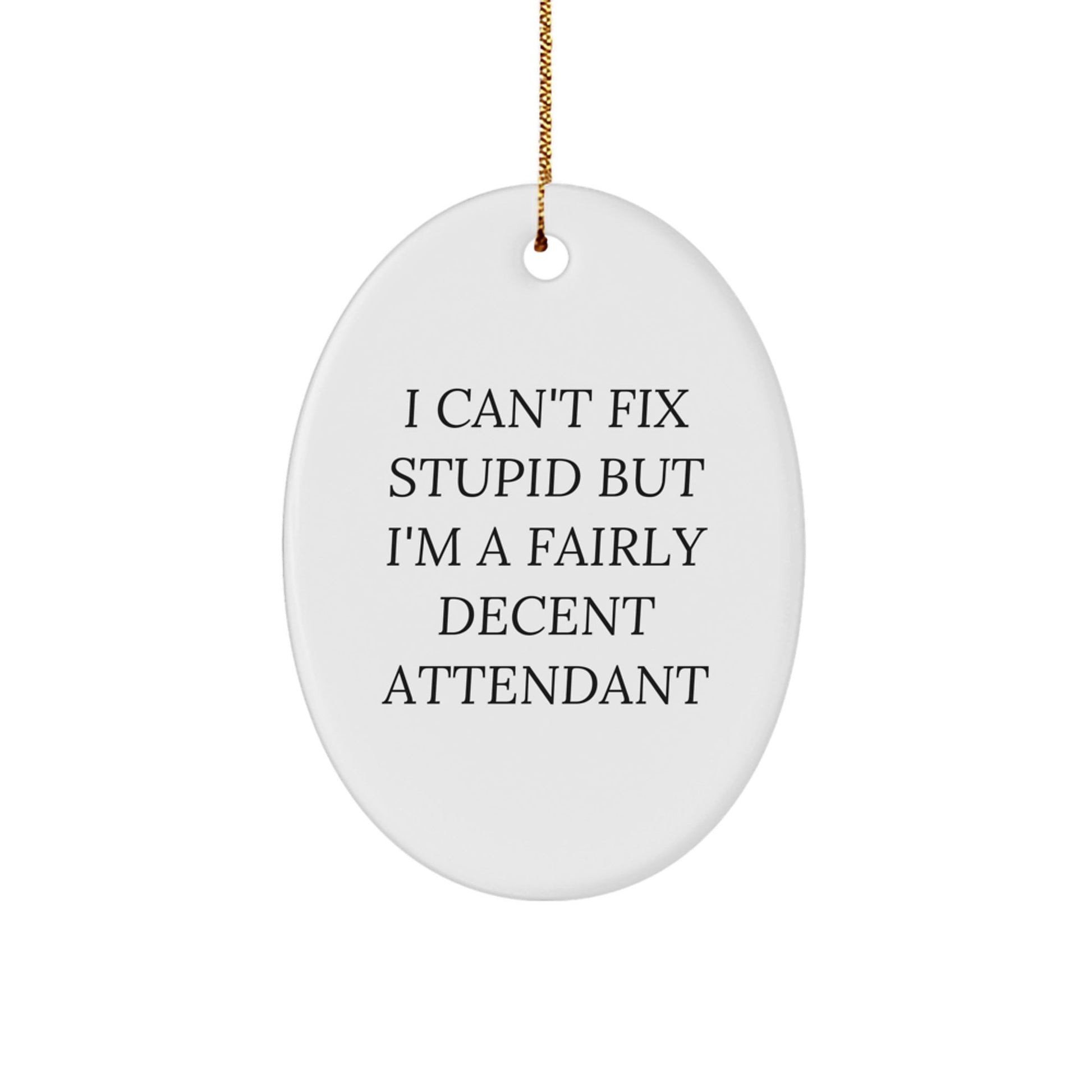 Funny Attendant Gifts from Men to Attendant - Oval Ornament - I Can't Fix Stupid But I'm A Fairly Decent Attendant Christmas Unique Gifts for Attendant - The Buy Boom