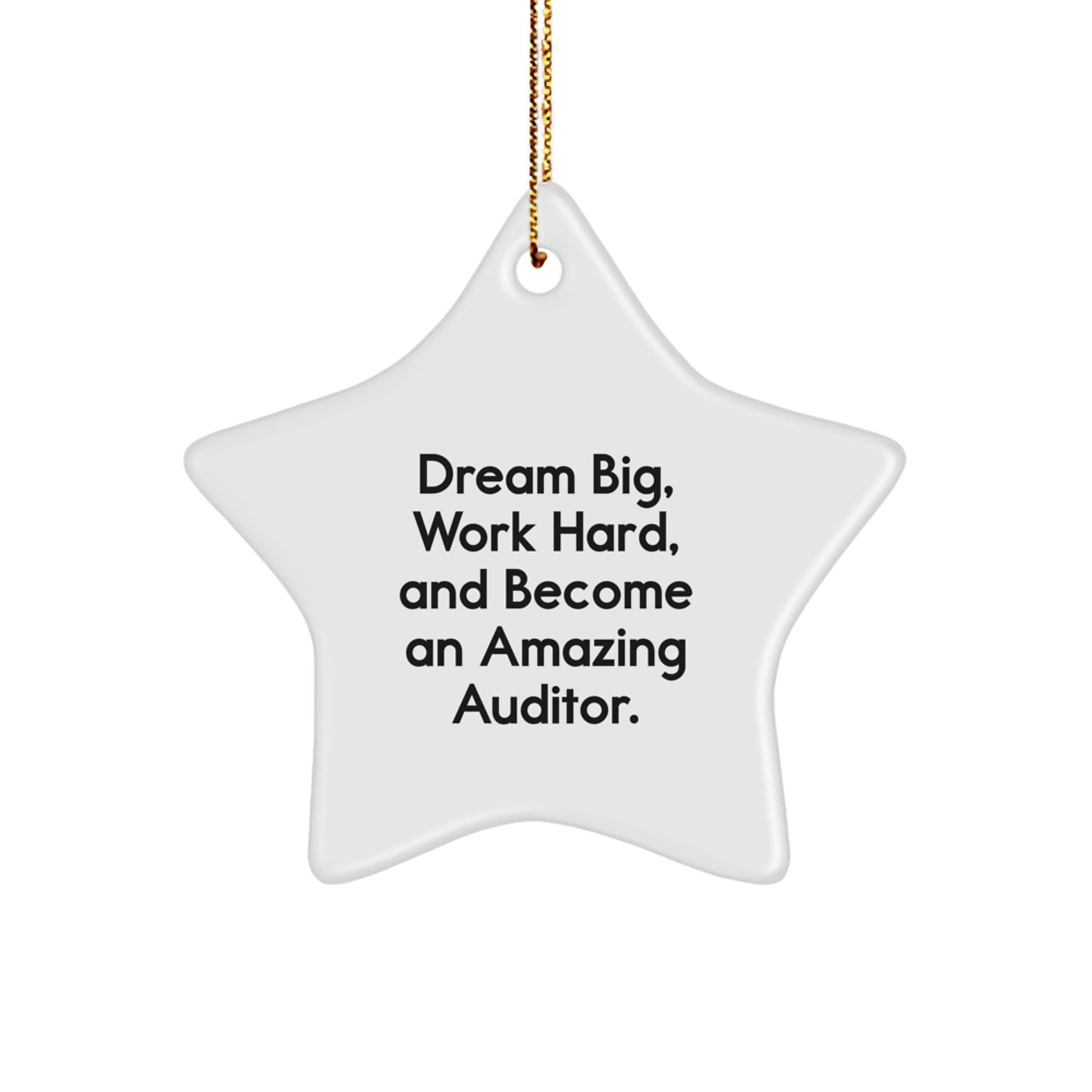 Funny Auditor Gifts from Men, Christmas Unique Star Ornaments for Auditor Friends Coworkers, Dream Big Work Hard And Become Amazing Gifts - The Buy Boom