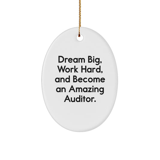 Funny Auditor Quotes Oval Ornament Gifts for Auditor Friends, Gifts from Family for Christmas Unique Gifts, Oval Shaped Auditor Decor. - The Buy Boom
