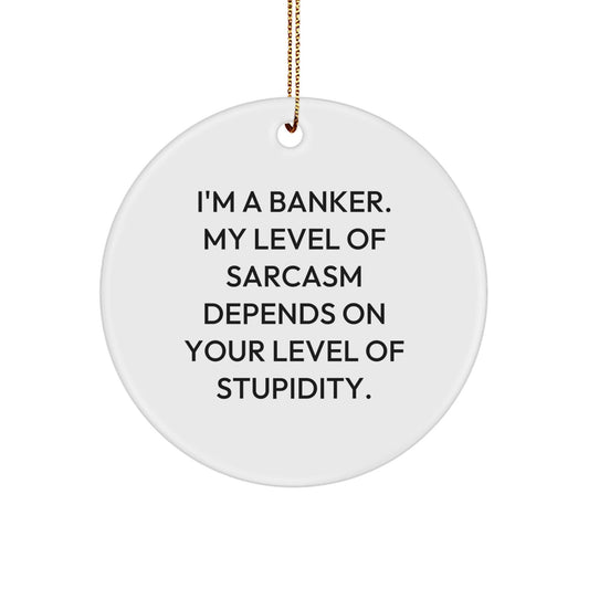 Funny Banker Gifts for Men - I'm A Banker Circle Ornament with Christmas Humor, Gifts from Friends, Family, Coworkers - The Buy Boom