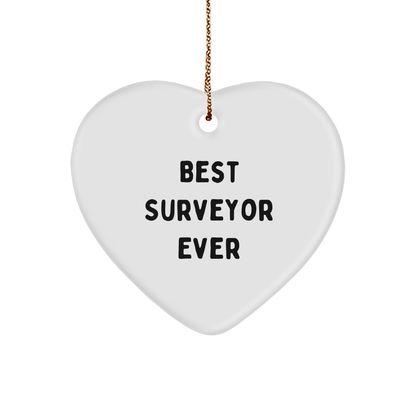 Funny Best Surveyor Ever Heart Ornament Gifts from Men to Surveyor Friends for Christmas - The Buy Boom