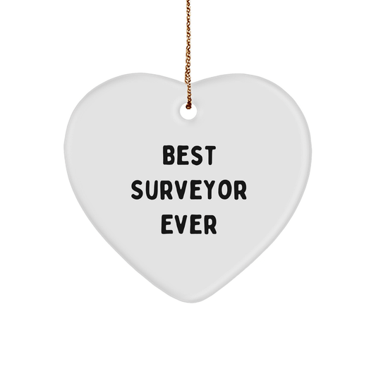 Funny Best Surveyor Ever Heart Ornament Gifts from Men to Surveyor Friends for Christmas - The Buy Boom